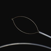 ਸ਼ੁੱਧ ਕਿਸਮ ਦੇ ਵਿਦੇਸ਼ੀ ਸਰੀਰ ਨੂੰ ਫੋਰਸਪਸ